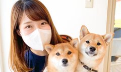 総再生回数1億2千万超え！豆柴YouTuber夫婦 “2人の子ども”のかわいさをシバし語る