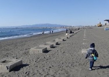 春の行楽にいかが？新江ノ島水族館・魚と海と島グルメ！