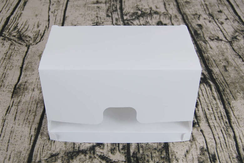 ダイソーのおすすめ商品「マスクケース」の実物画像