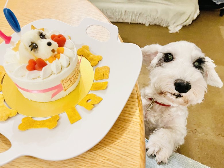 有村実樹さんの愛犬