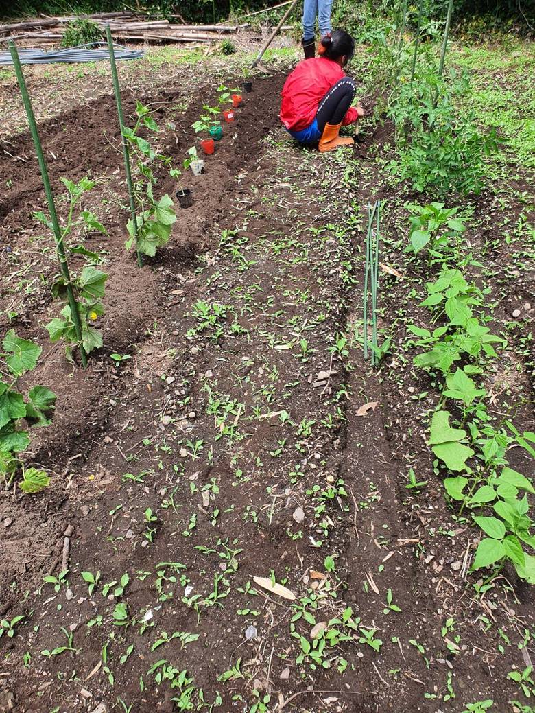 娘と野菜の世話をしながら　