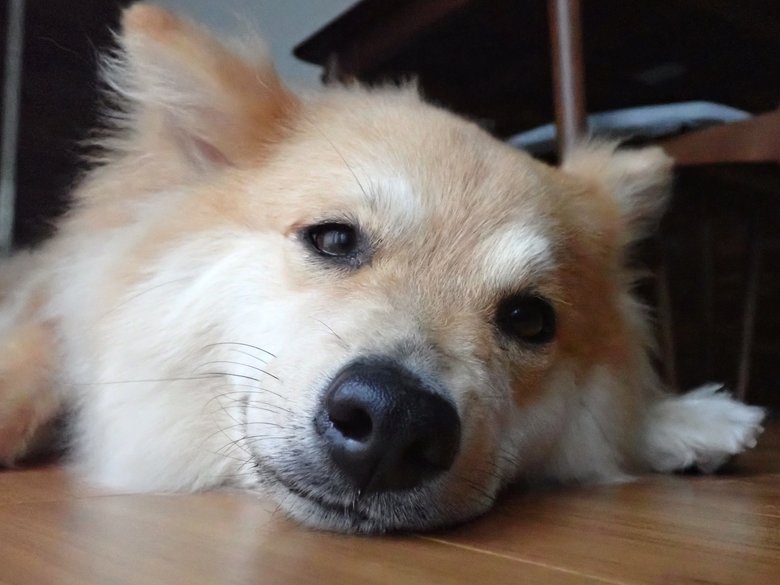 ゆらめくカーテンを眺め、リラックス