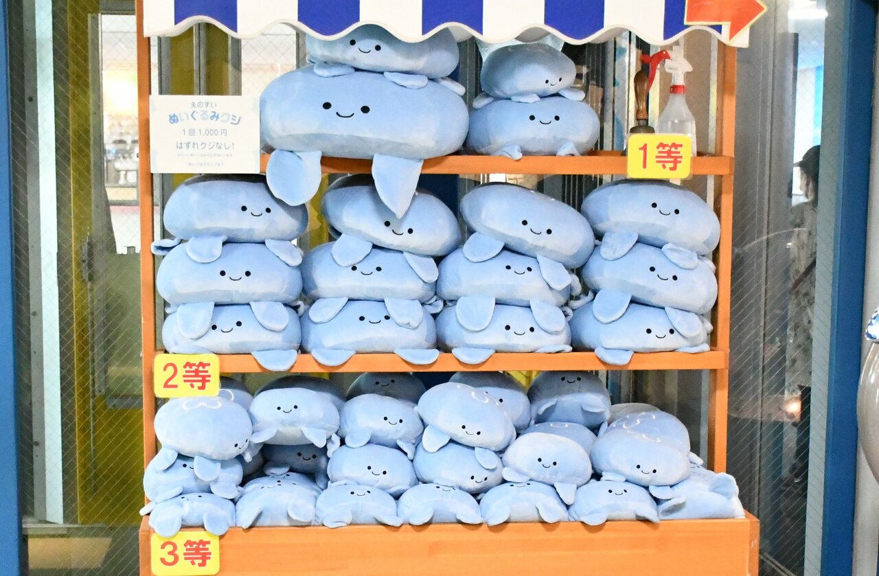 新江ノ島水族館くじクジぬいぐるみクラゲくらげ1等2等3等セット