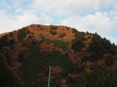 東京都唯一の村は『森の学校』だった！