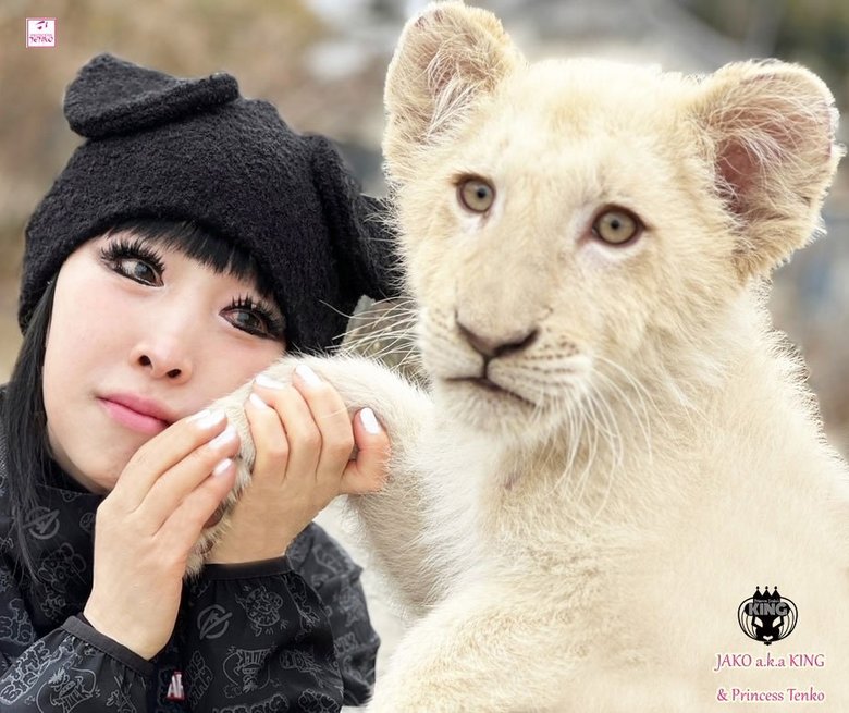 飼っているホワイトライオンのKINGくん