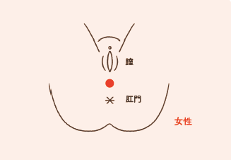 スクリーンショット 2019-02-15 15.25.56