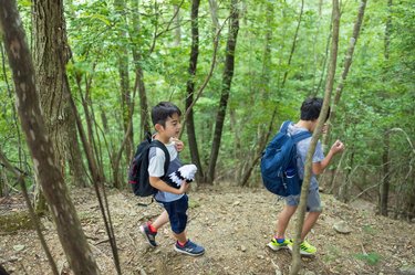 小学校の遠足の行き先は誰がどう決める？「近くの公園でもいい」驚きの理由