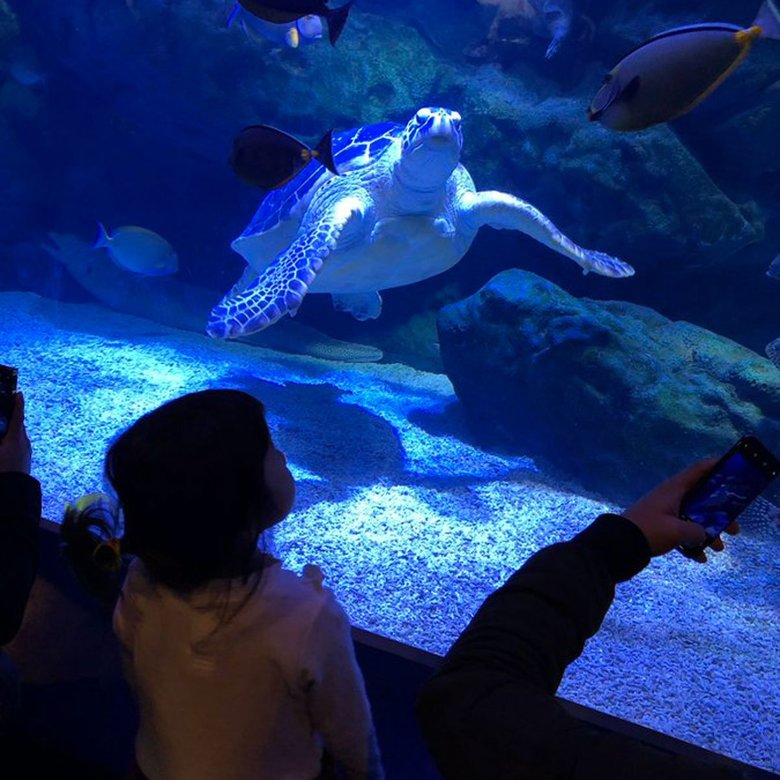 家族で水族館に。仕事がオフの日はできるだけ娘たちといっしょに過ごす