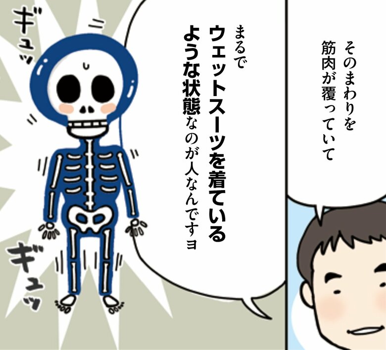 人の身体はいわば「背骨が筋肉というウェットスーツに覆われている状態」