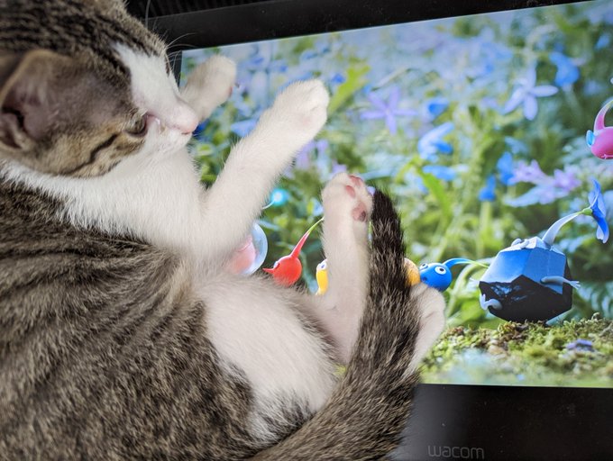 「家族が増えました」液晶の上に陣取るタピちゃん