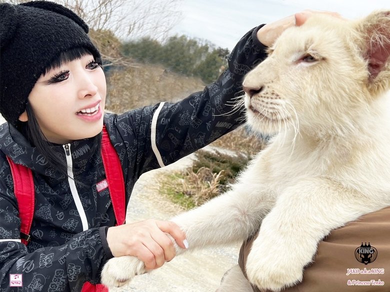 飼っているホワイトライオンのKINGくん
