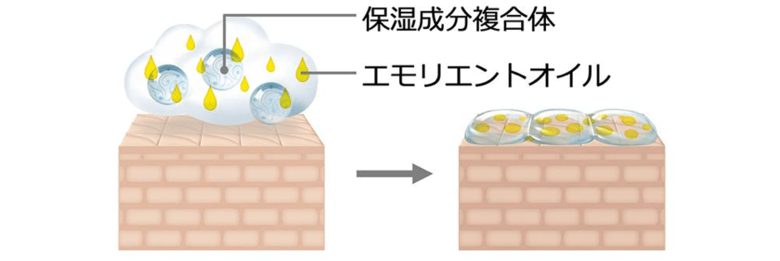 ▲イメージ図。肌の水分が逃げ出さないよう、表面にうるおい成分が吸着する仕組み。