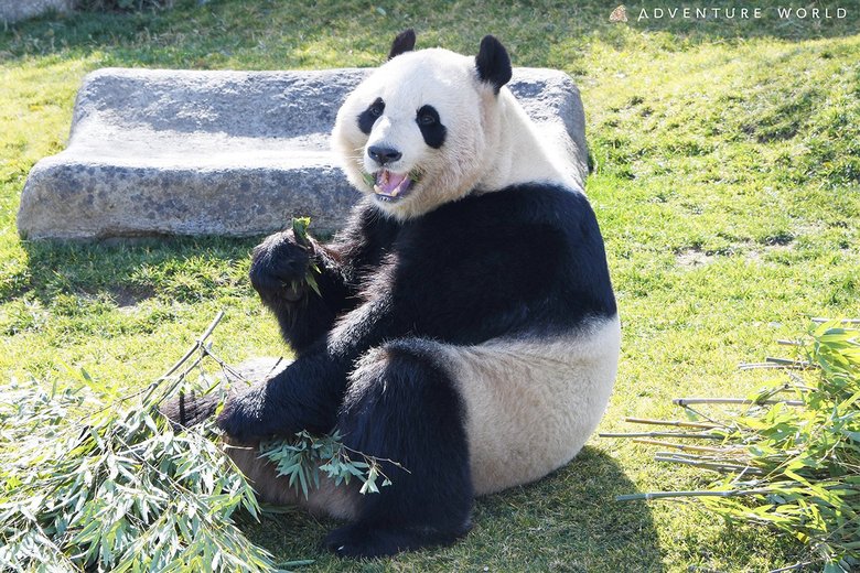 まもなく中国に旅立つ双子の姉・桃浜（8歳）。マイペースな性格