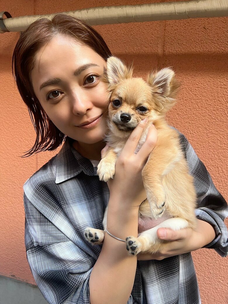 かわいいの大渋滞！最近飼い始めた愛犬と平山さん