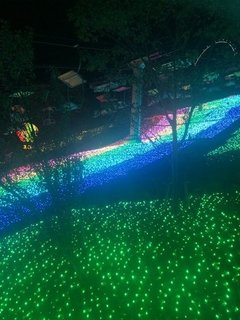 今年のイルミネーションはさがみ湖イルミリオンで決まり！