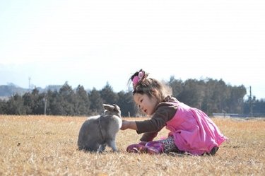 子供が欲しがる人気の動物ベスト5