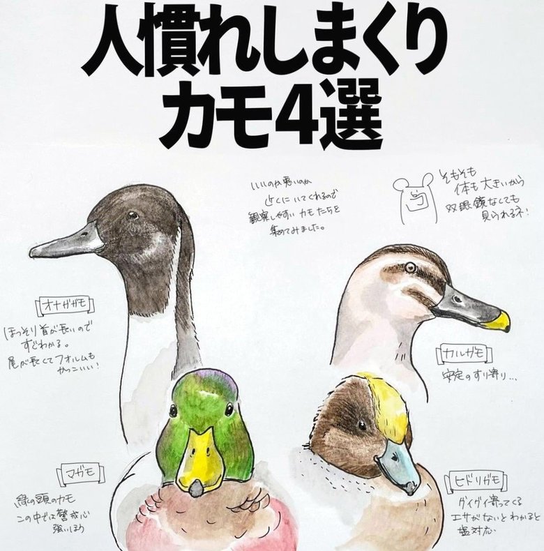 手書きのイラストには豆知識も添えられている