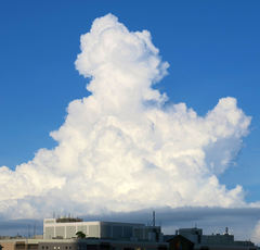 理想の母親像はムスカ大佐!?名台詞に隠された怒らない育児のヒント