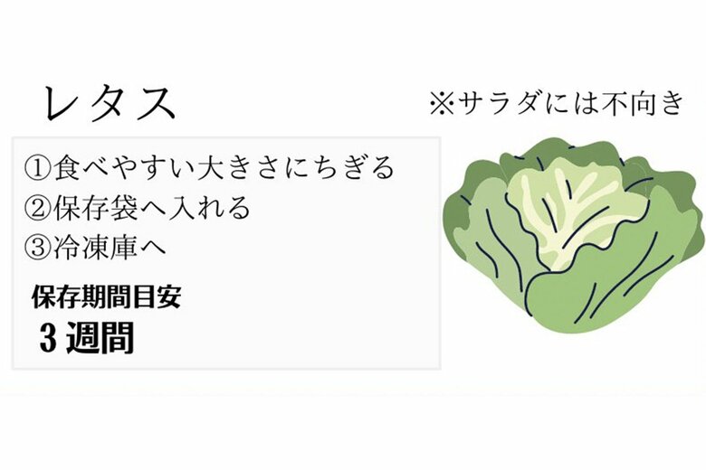 レタスの冷凍保存方法