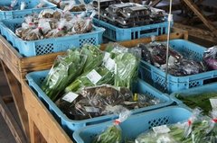 【2019初夏！】おすすめ道の駅ランキング