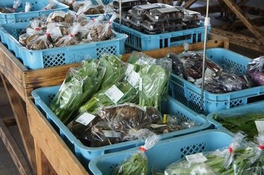 【2019初夏！】おすすめ道の駅ランキング