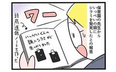 「息子にシラミが!!」奮闘した家族の残念な結末