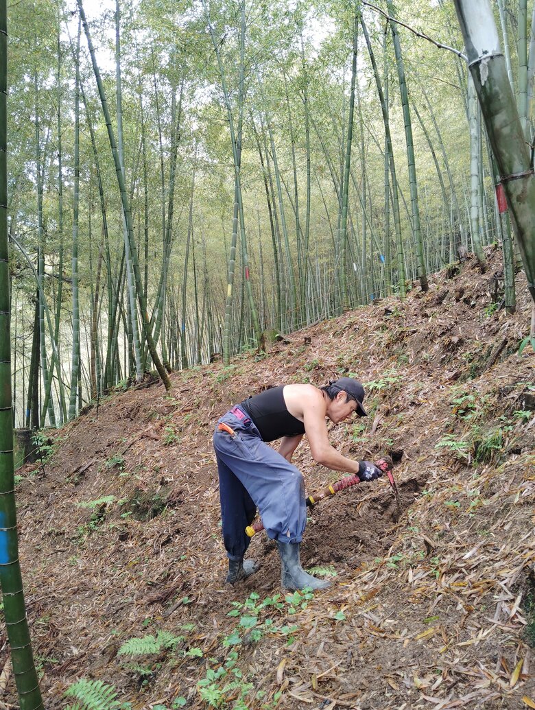 収穫では2.7キロの鍬を何度も振りかざさなければならない