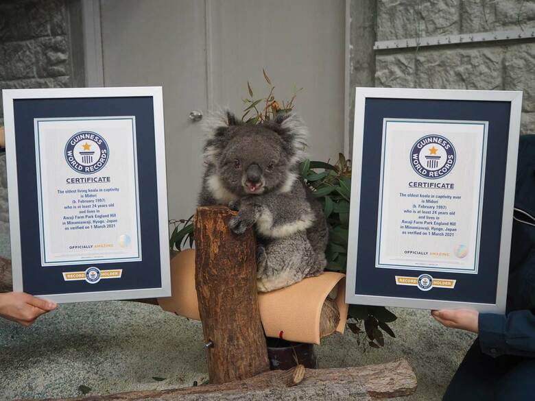 24歳時のギネスの賞状と一緒に写真に収まるみどり