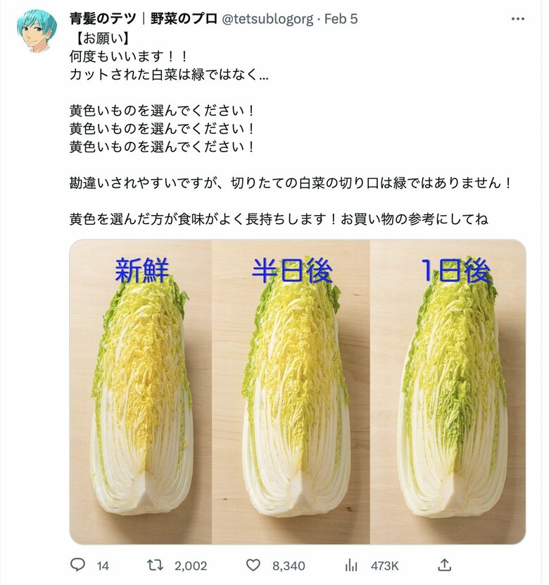 青髪のテツさんの投稿「白菜の選び方」選ぶべきは緑よりも黄色！