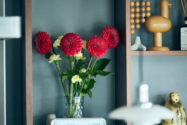 水谷妙子さん宅のインテリア