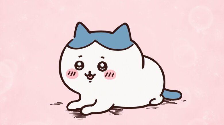 田中さんが演じる『ちいかわ』のハチワレ ©︎ナガノ / ちいかわ製作委員会