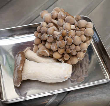 冷凍王子の食材保存テク「だから野菜は解凍で水っぽくなるのか！」