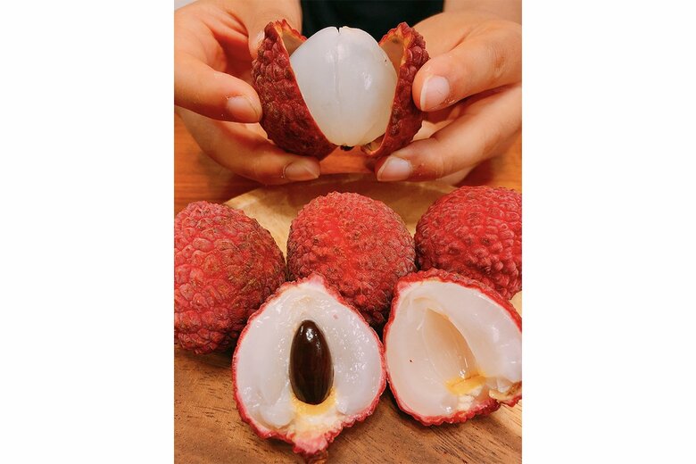 宮崎県の「新富ライチ」