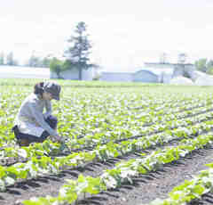ひきこもりには農業体験…国の新たな施策はハードルが高過ぎない？