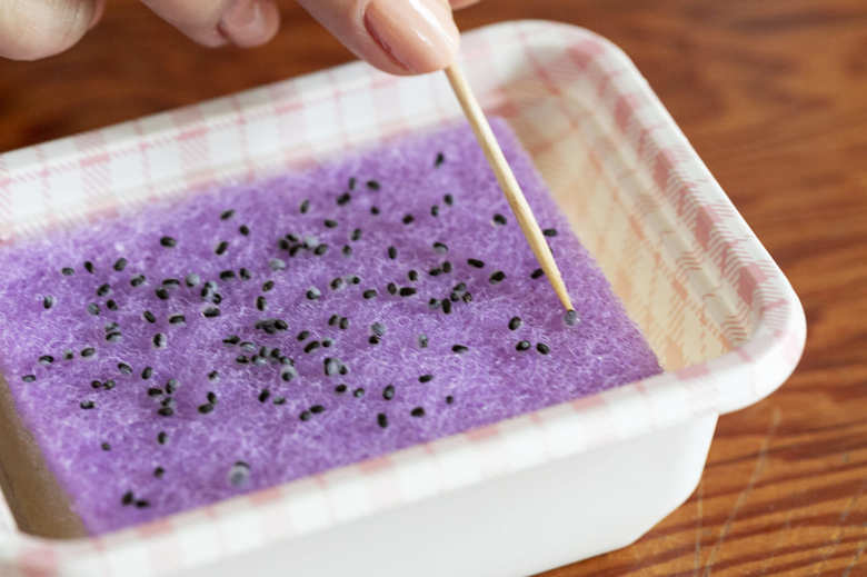 水耕栽培で種を選り分ける方法