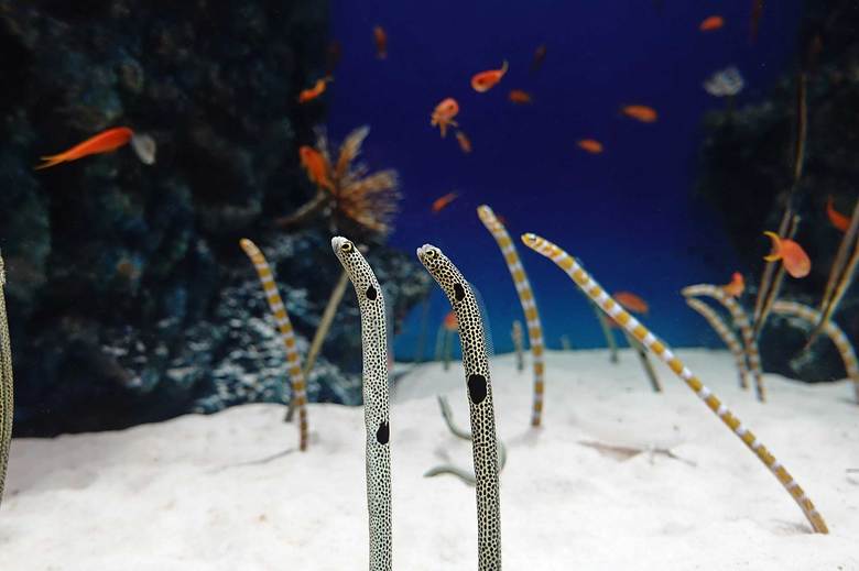 写真提供：中村元