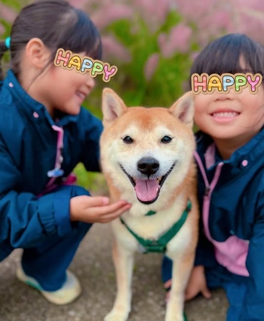 だいずくんは、お子さんたちのお兄ちゃん的存在。おいかけっこが日課とか
