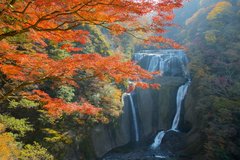 【関東編】紅葉をいち早く楽しむならココ！