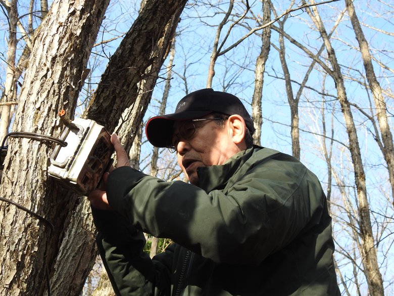 ▲富士山の狐塚を調査する今泉先生（写真提供：今泉忠明先生）