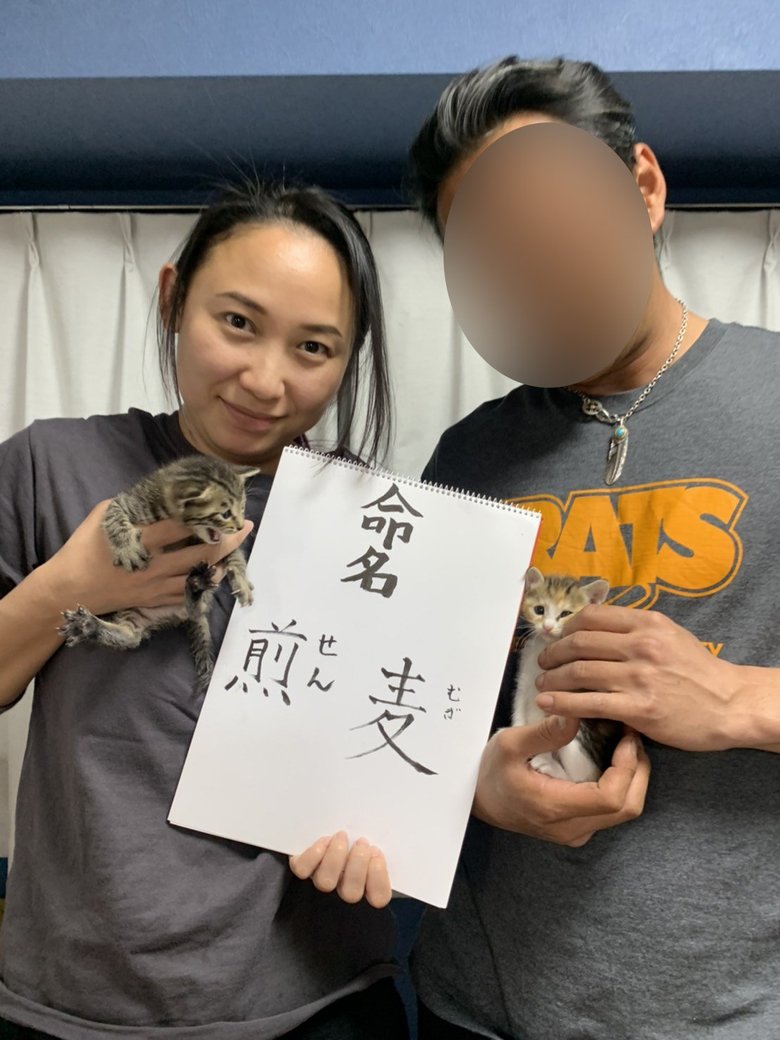 家族の一員、猫の煎と麦と