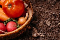 食欲増進！お弁当の彩り「赤」の食材