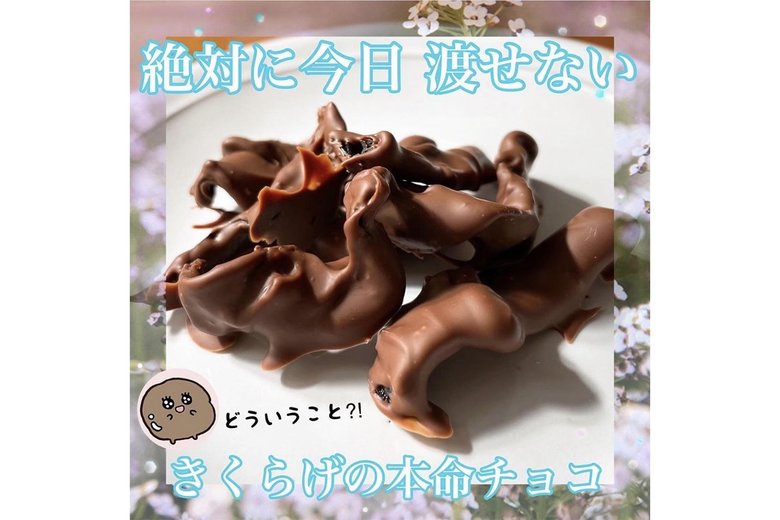 「絶対に今日渡せないきくらげの本命チョコ」(Instagram @kikuragefarmより)