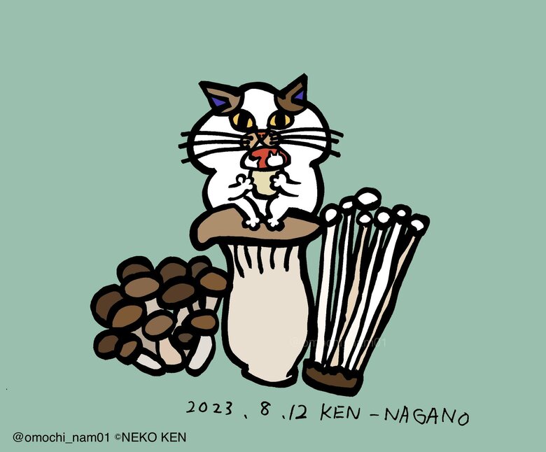 きのこの生産量が 日本一の長野県！！ きのこネコだよ～！！（なみそさんのXの投稿より）