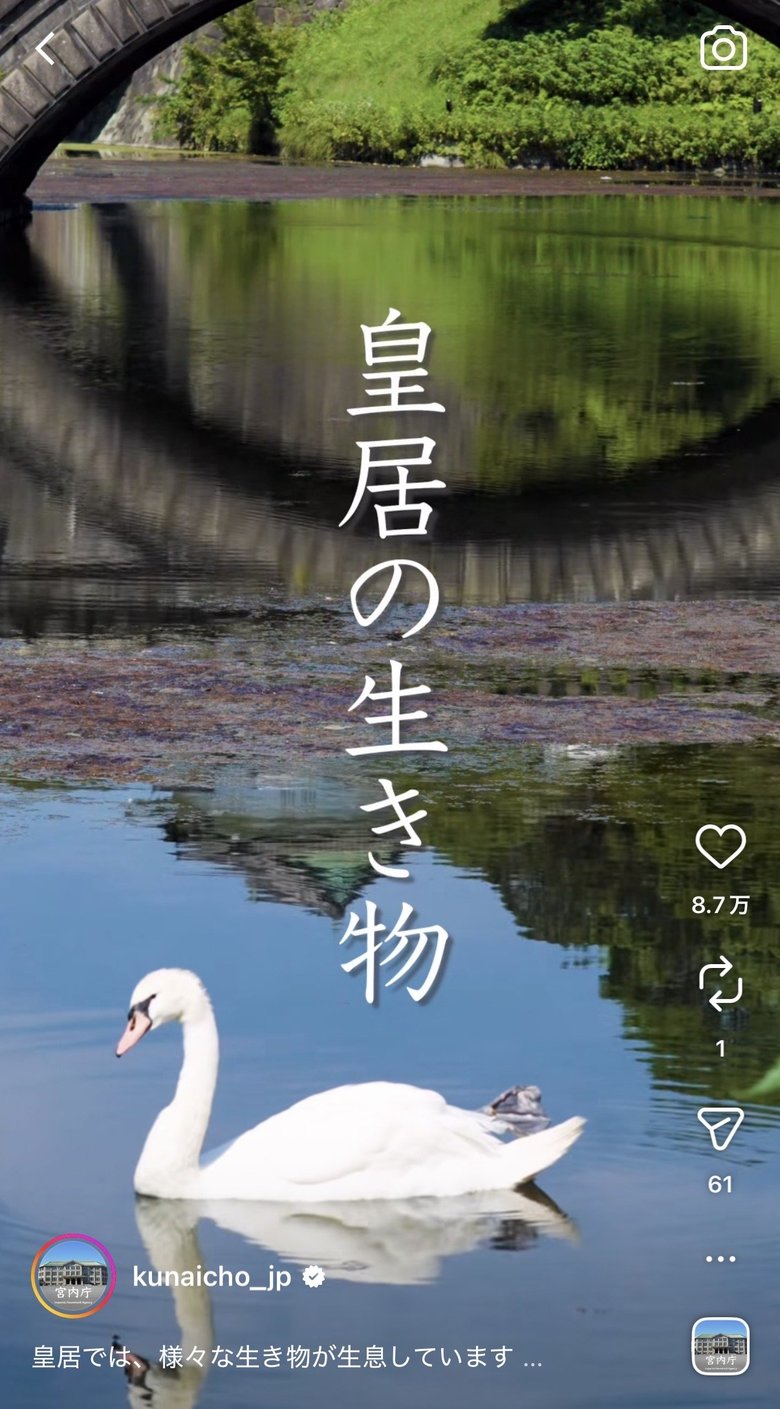 皇居内で見られる動物たちの様子も発信されている