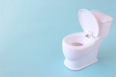いつから始める？トイレのトレーニング