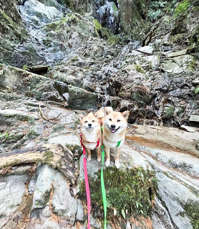 ハイキング先での福ちゃん（左）と富くん