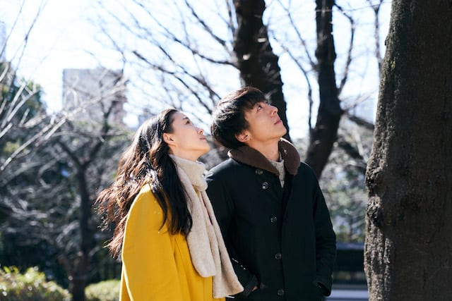 ©︎2019「ロマンスドール」製作委員会